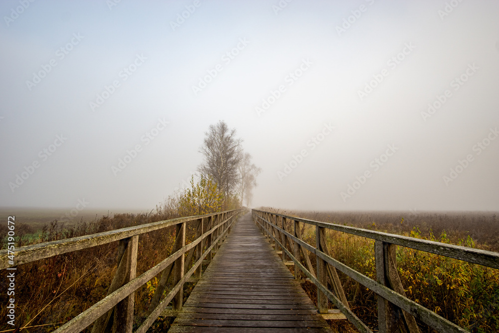 Fototapeta premium Federseesteg