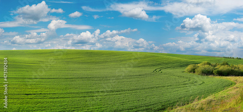 panorama of green field, farmland on the horizon in spring and blue sky