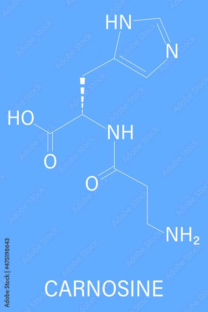 Carnosine or Lcarnosine food supplement molecule. Skeletal formula