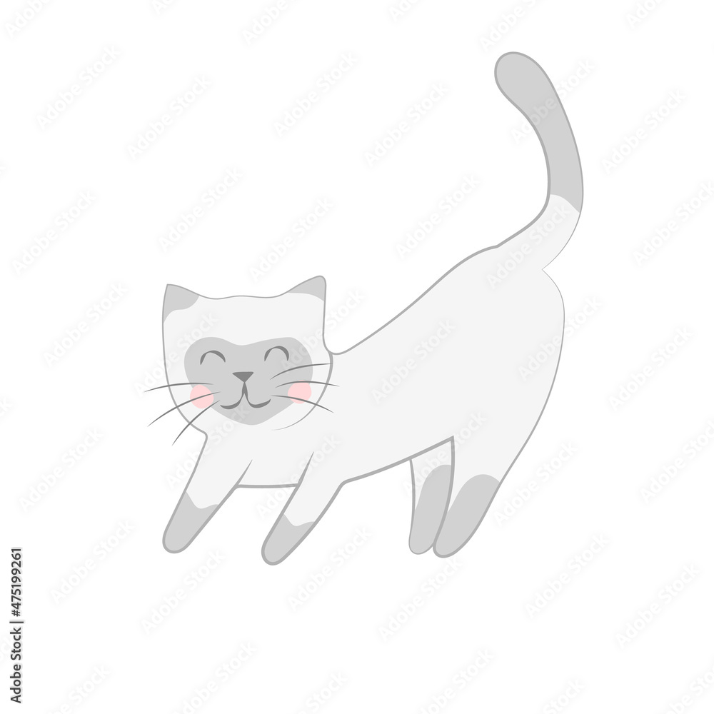 cute kitten stretching siamese cat cute kitten stretching siamese cat