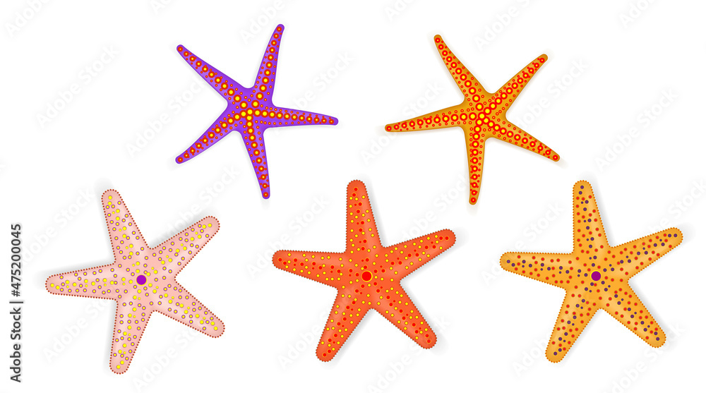set of realistic starfish or summer design element or sale summer concept starfish. eps vector
set of realistic starfish or summer design element or sale summer concept starfish. eps vector