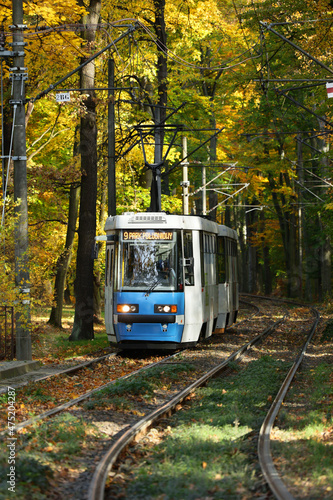 Niebieski tramwaj jedzie przez jesienny park po torach. 