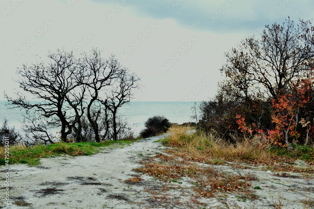 a picturesque path along the seashore