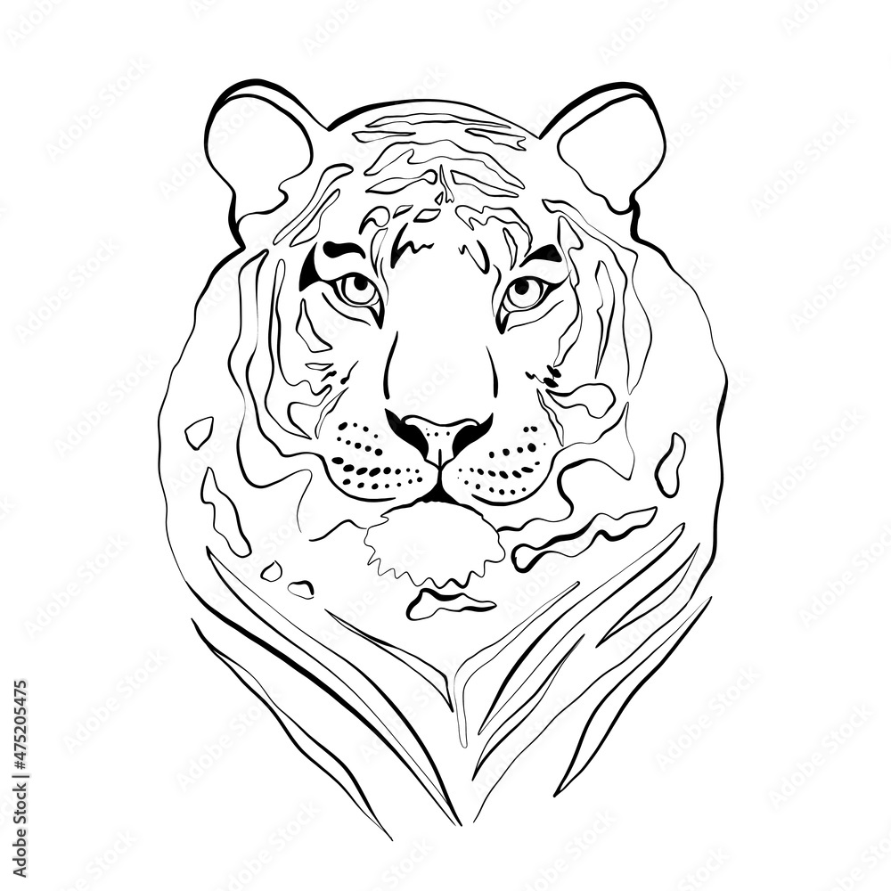 illustration of a tiger in lines illustration of a tiger in lines