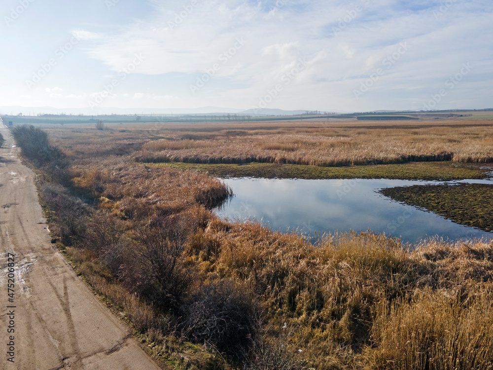 Fototapeta premium Aerial Autumn view of Aldomirovtsi marsh, Bulgaria