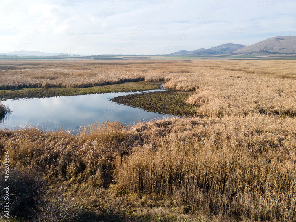 Aerial Autumn view of Aldomirovtsi marsh, Bulgaria Aerial Autumn view of Aldomirovtsi marsh, Bulgaria