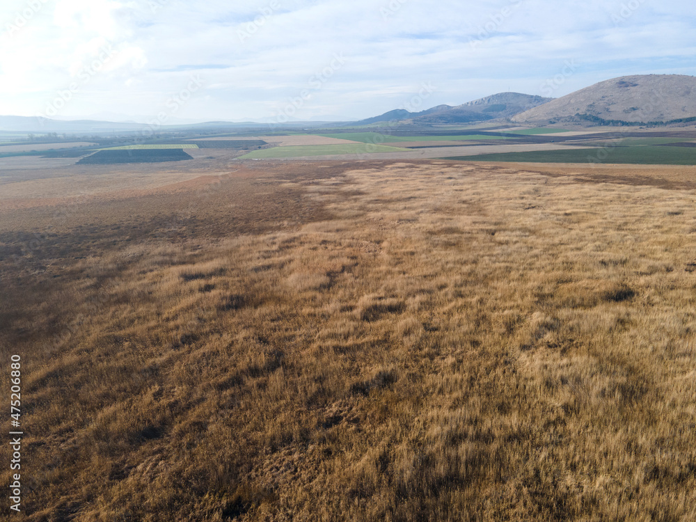 Aerial Autumn view of Aldomirovtsi marsh, Bulgaria Aerial Autumn view of Aldomirovtsi marsh, Bulgaria