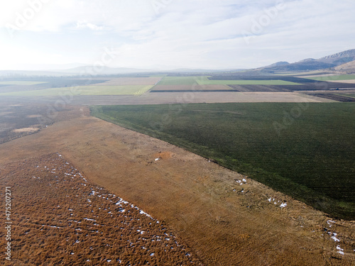 Aerial Autumn view of Aldomirovtsi marsh, Bulgaria photo