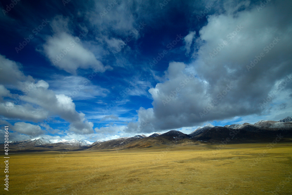 The blue sky white clouds and grassland snow mountain landscape The blue sky white clouds and grassland snow mountain landscape