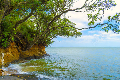 Landscape View of Jenkins Bay Beach Boat Ramp, Titirangi, Auckland New Zealand photo