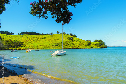 Panoramic View of Campbells Beach Matakana, Tawharanui Peninsula, Auckland New Zealand