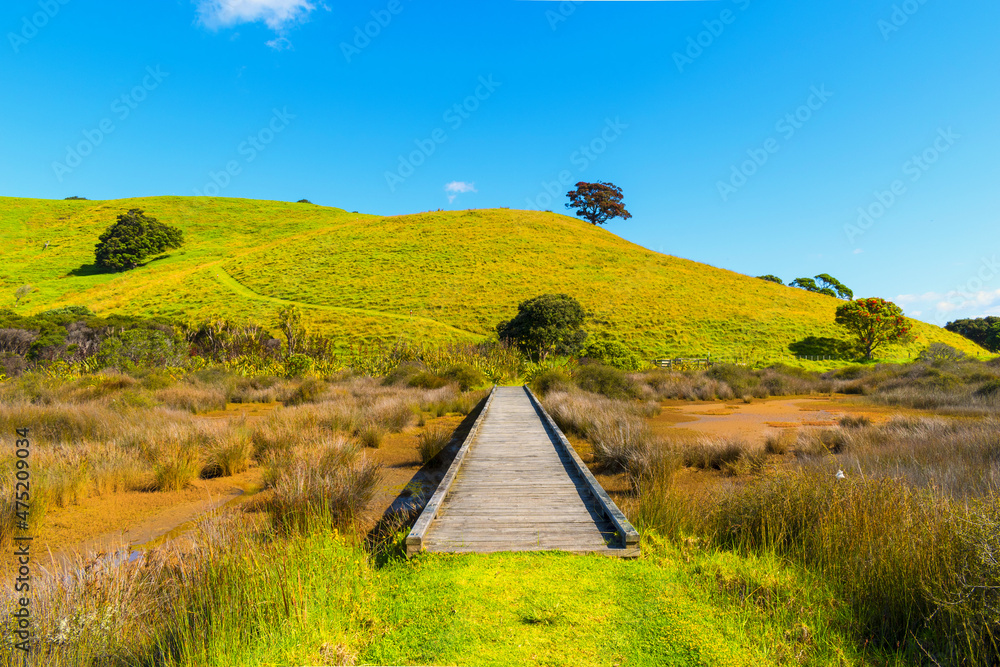 Wooden Bridge on the South Coast Trail by the Lagoon at Tawharanui Beach and Regional Park, Auckland New Zealand; Landscape Scenery