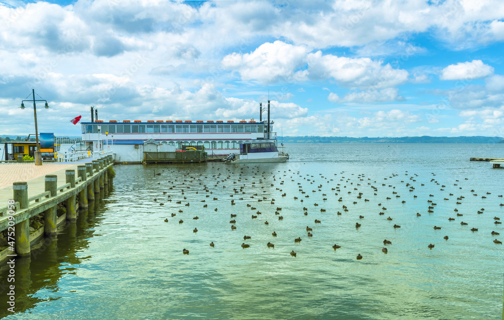Panoramic View of Lake Rotorua New Zealand, Bay of Plenty Region, North Island during Calm Day