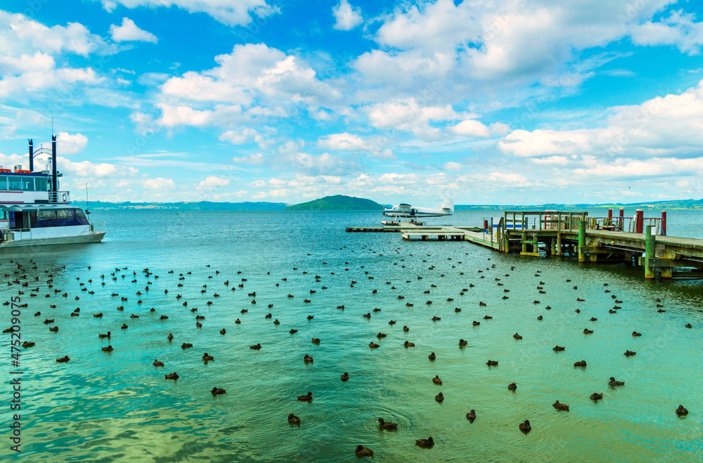 Panoramic View of Lake Rotorua New Zealand, Bay of Plenty Region, North Island during Calm Day
