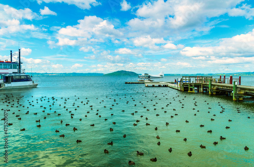 Obraz na płótnie Panoramic View of Lake Rotorua New Zealand, Bay of Plenty Region, North Island during Calm Day w salonie