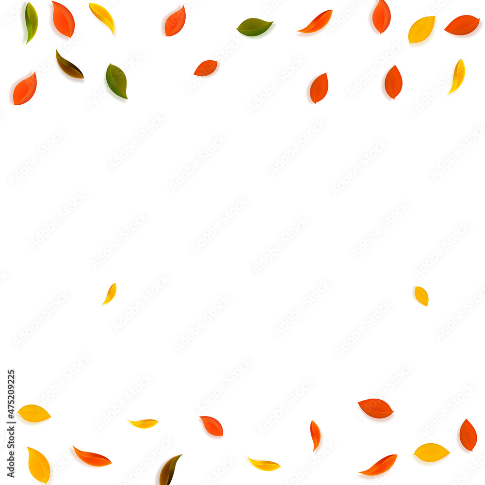 Falling autumn leaves. Red, yellow, green, brown r Falling autumn leaves. Red, yellow, green, brown r