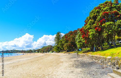 Landscape Scenery of Takapuna Beach Auckland, New Zealand photo