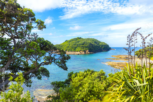 Obraz na płótnie Panoramic View of Goat Island Beach, Leigh Auckland New Zealand; Marine Reserve w salonie