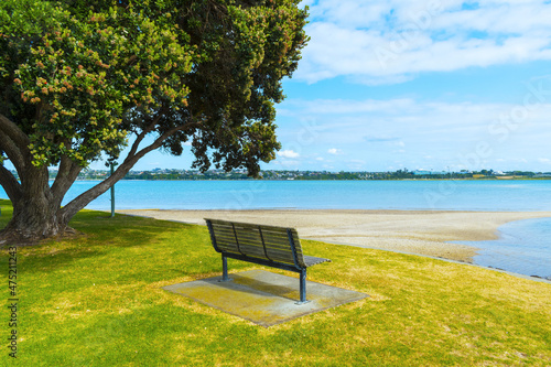 Panoramic View of Lansdowne Reserve on Shoal Bay, Bayswater, Auckland New Zealand photo