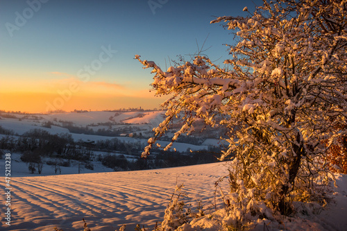 Winter scene at sunset in the Monferrato hills, Piedmont, Italy.