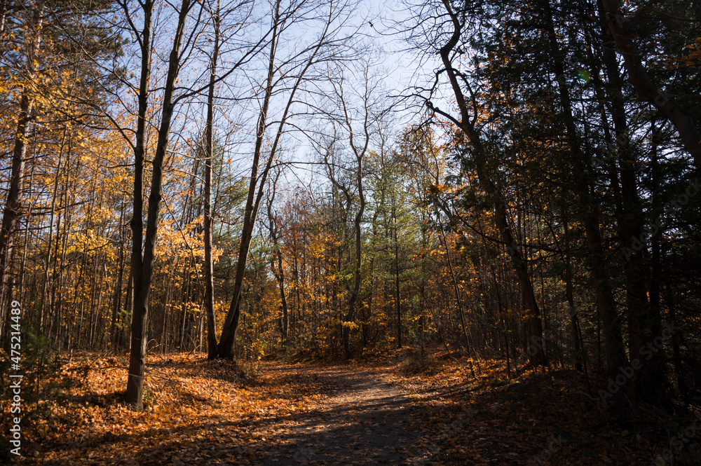 Sunny autumn day view along the pathway on Humber Valley Heritage Trail near Kleinburg, Ontario, Canada Sunny autumn day view along the pathway on Humber Valley Heritage Trail near Kleinburg, Ontario, Canada
