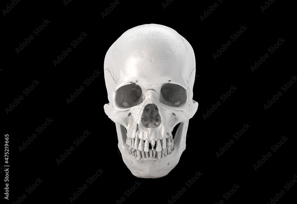 White Human skull full face on Black Isolated Background. The concept art of death, horror. Design for print, poster. A symbol of spooky Halloween, Virus, immortal, pirat. 3d rendering illustration..