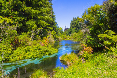 Landscape Scenery of Clean and Clear Water Stream at Hamurana Rotorua, New Zealand photo
