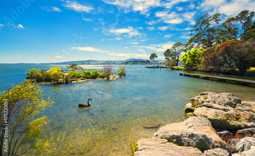 Panoramic View of Lake Rotorua at Hatupatu Dr Car Park and Scenic Point, Rotorua, New Zealand, Bay of Plenty Region, North Island