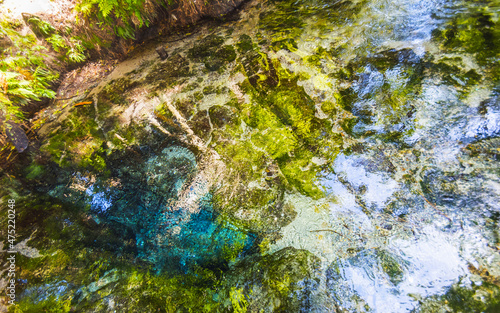 Fototapeta Naklejka Na Ścianę i Meble -  Landscape Scenery of Clean and Clear Water Stream at Hamurana Rotorua, New Zealand