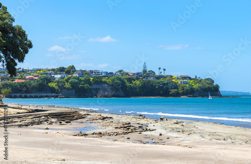 Landscape View of Mairangi Bay Beach Auckland, New Zealand  Place for Picnic and Relaxing © Rangkong