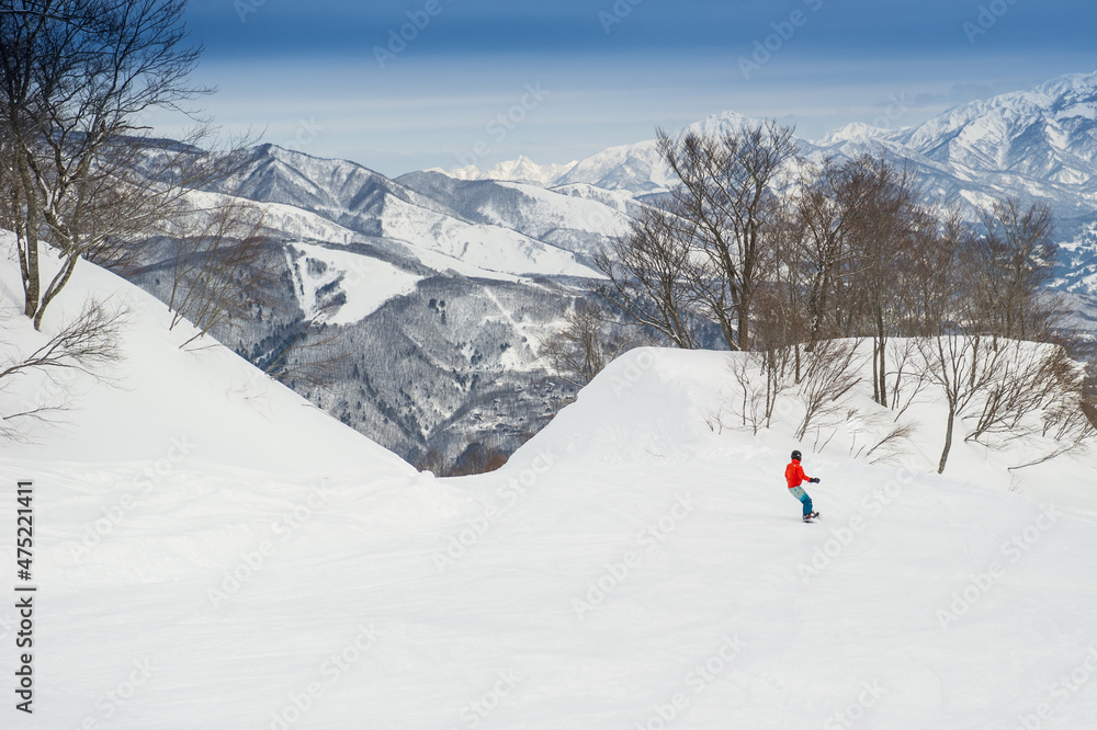 Snowboarder in powder snow Hakuba Japan