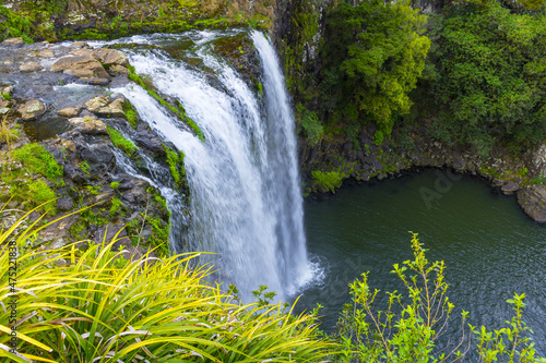 Top Cliff of Whangarei Falls, Whangarei North Island New Zealand photo