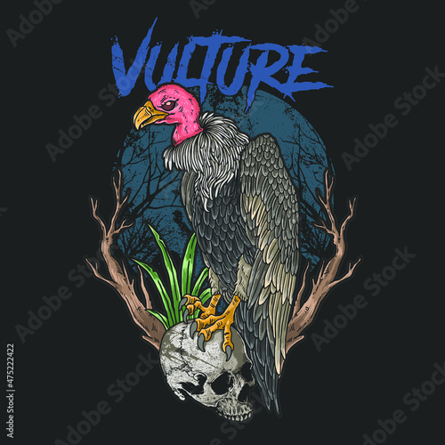 Vulture Bird On Skull