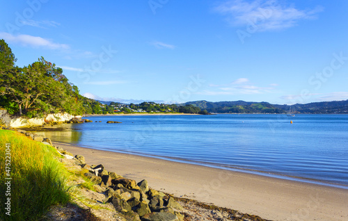 Panoramic View Flaxmill Bay or Maramaratotara Bay  Coromandel Peninsula New Zealand During Morning Time