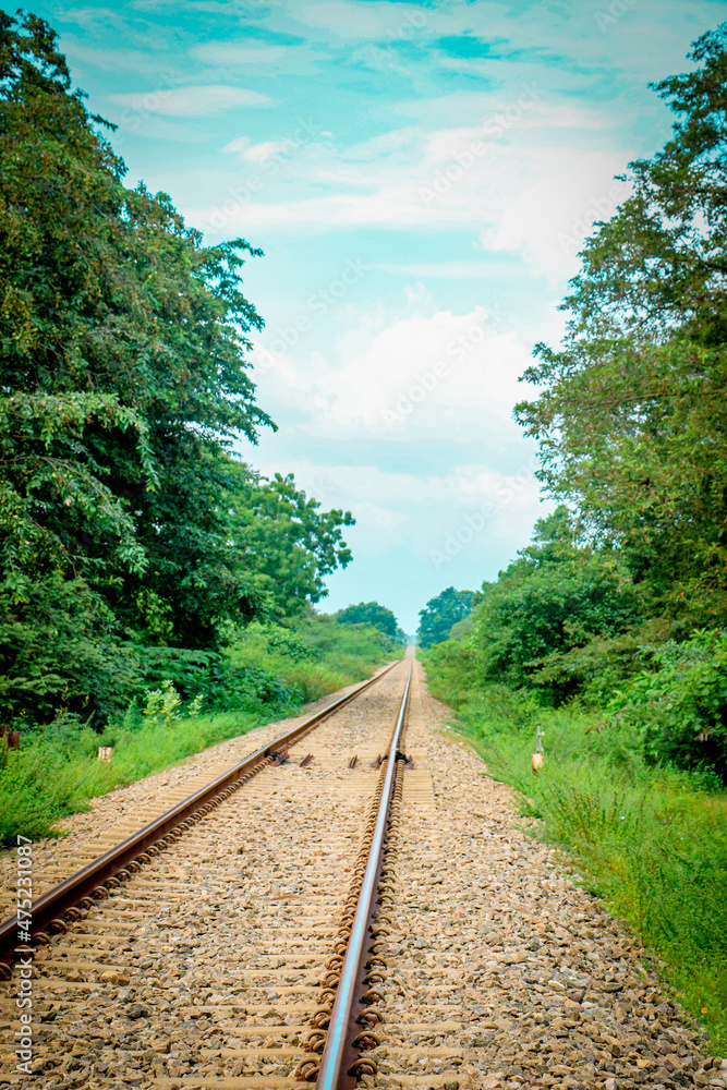 Fototapeta premium railway in the woods