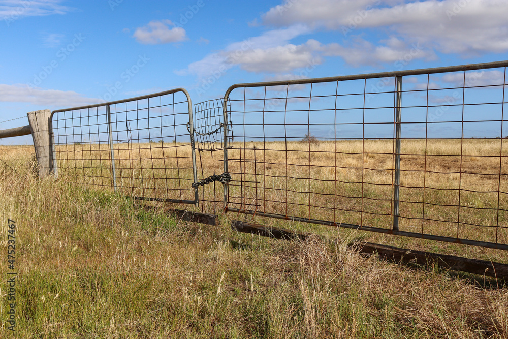 fence in the field fence in the field