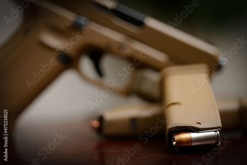 Bilde på lerret Handgun with magazine and bullet