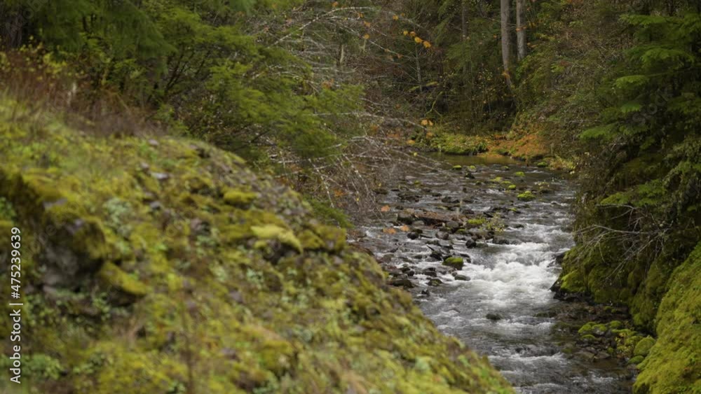 closeup pan across flowing creek closeup pan across flowing creek