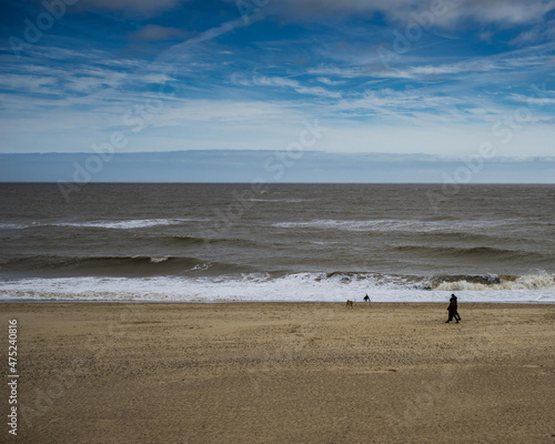 Dogwalkers on an English Beach photo