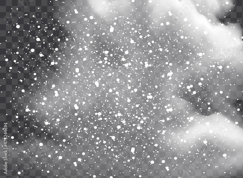Vector snowfall isolated. Winter background. Snow overlay illustration. Snowflakes and ice.