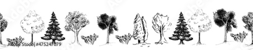 hand drawing with deciduous and coniferous trees, hand drawn natural border. seamless pattern