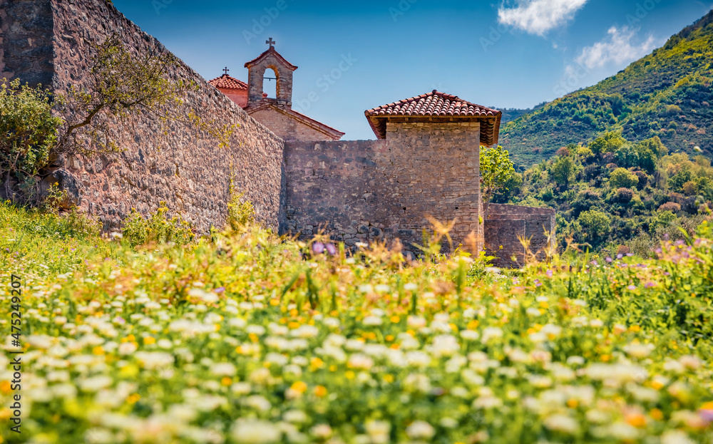 Abandoned St. Mary Monastery among fresh green flowers. Impressive morning scene of Albania, Europe. Traveling concept background.