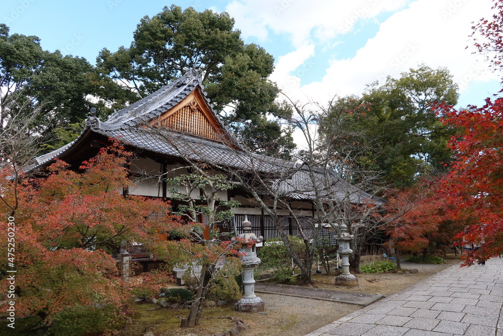 Kannon-do Hall and autumn leaves in the precincts of Komyo-ji Temple in Nagaokakyo City in Kyoto prefecture in Japan 日本の京都府長岡京市にある光明寺境内の観音堂と紅葉