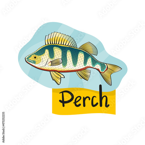 River perch, design of fish preserves. Vector inscription perch.