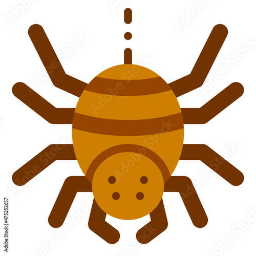 spider flat icon