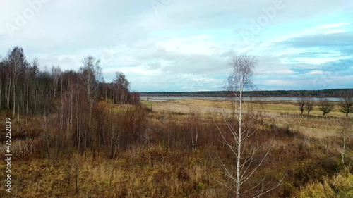Aerial view of the Volga river bank. Aerial view. The bend of the river, meadows, orange grass, trees at dawn. Colorful aerial landscape of the river coast at sunset in autumn. View from above