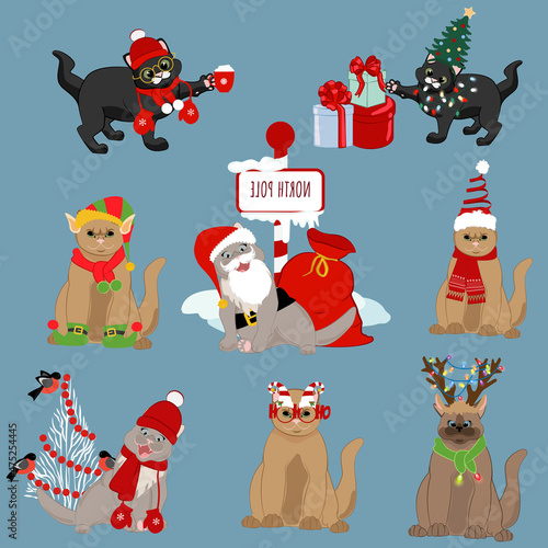 Bild auf Leinwand Cats in holyday christmas hats and costumes