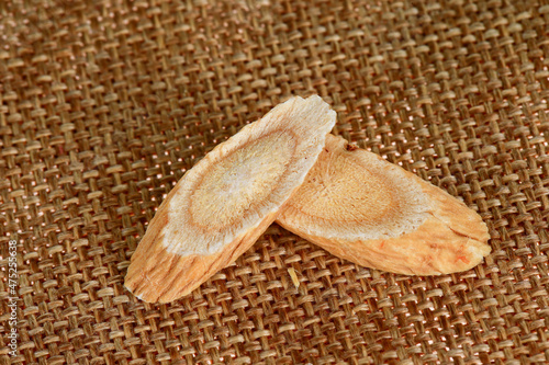 Chinese herbal medicine astragalus membranaceus on a white backg photo