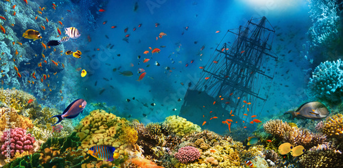 Fototapeta Naklejka Na Ścianę i Meble -  A sunken shipwreck in sea. Underwater world. Coral fishes of Red sea. Egypt