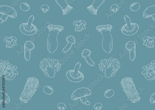多種類のキノコの背景イラスト：青緑(Background illustrations of many kinds of mushrooms.:Navy blue)
